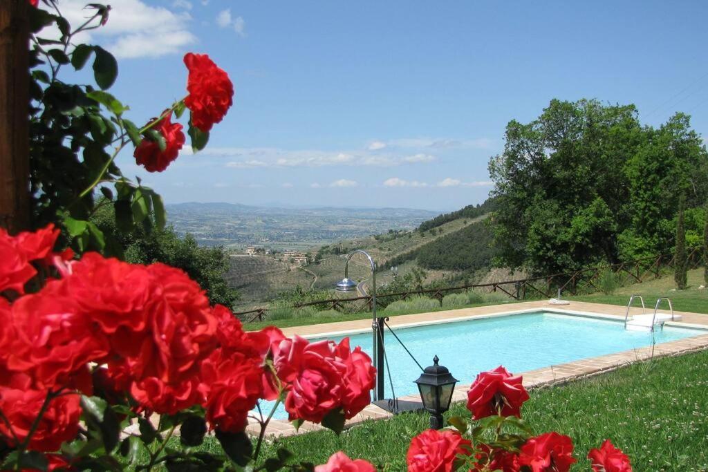 All Stone Horse Stable Converted To Elegant Apartment - Baltimora Spoleto Esterno foto