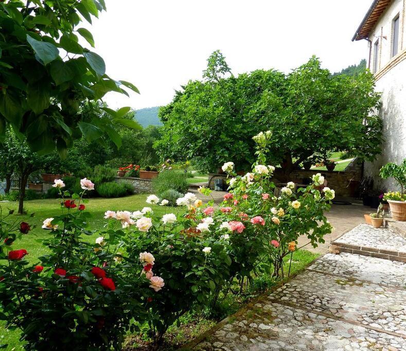 All Stone Horse Stable Converted To Elegant Apartment - Baltimora Spoleto Esterno foto